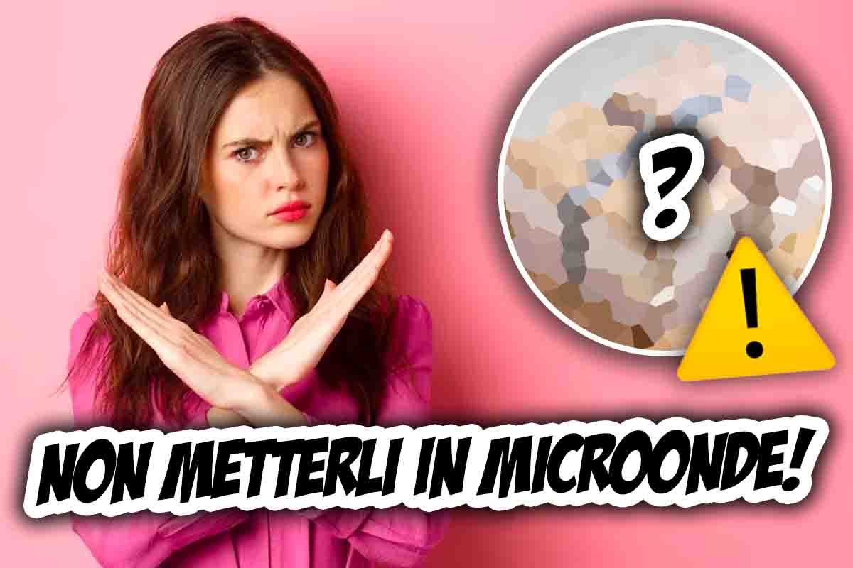 oggetti da non mettere nel microonde