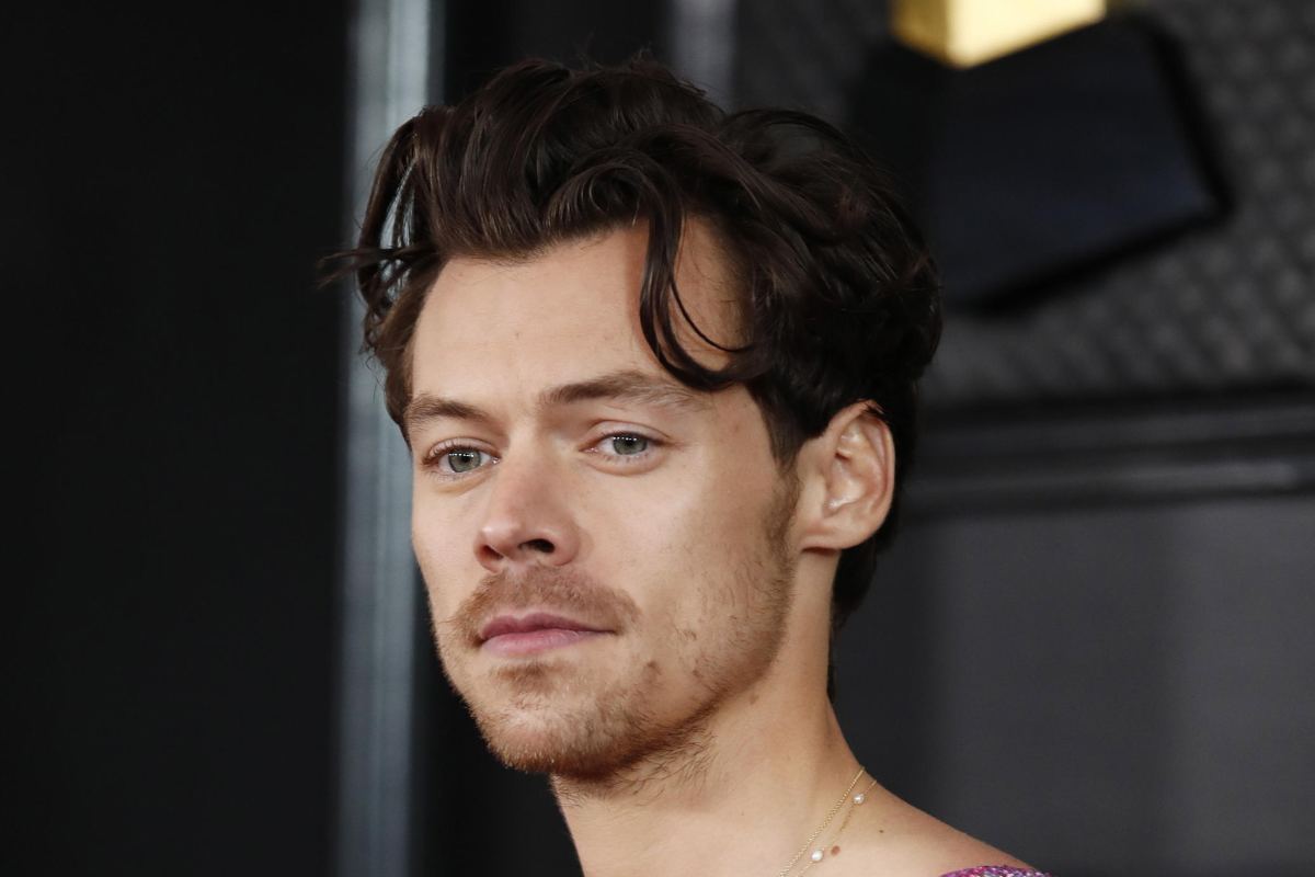 Harry Styles: concerto Campovolo polemica