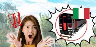 in italia arrivano i treni turistici