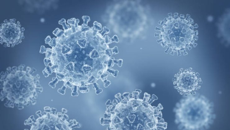 Pericolosa malattia derivata dal coronavirus