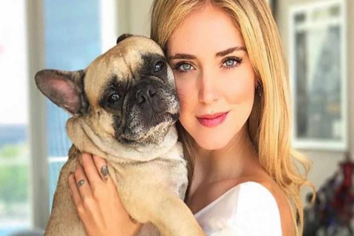 cagnolina di chiara ferragni morta