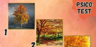 Test dell’albero