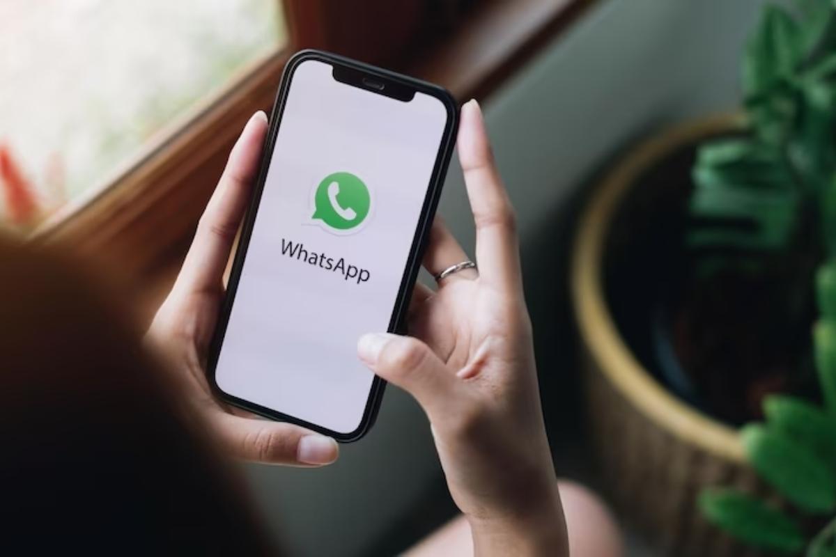 Chat ufficiale di WhatsApp, di cosa si tratta