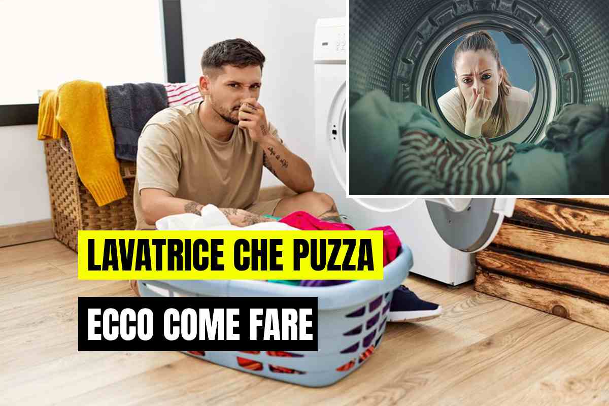 lavatrice che puzza