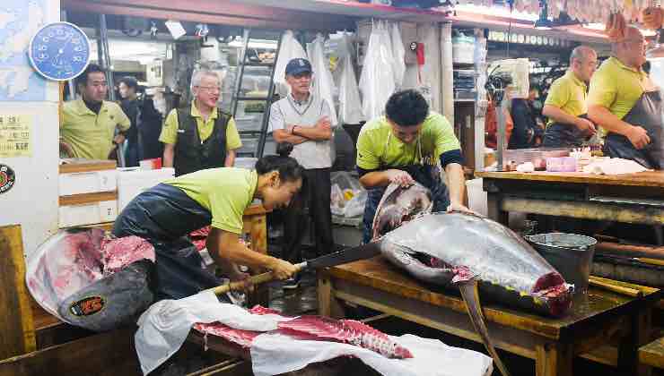 Mercato del pesce