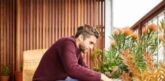 Vivere da soli, caratteristiche