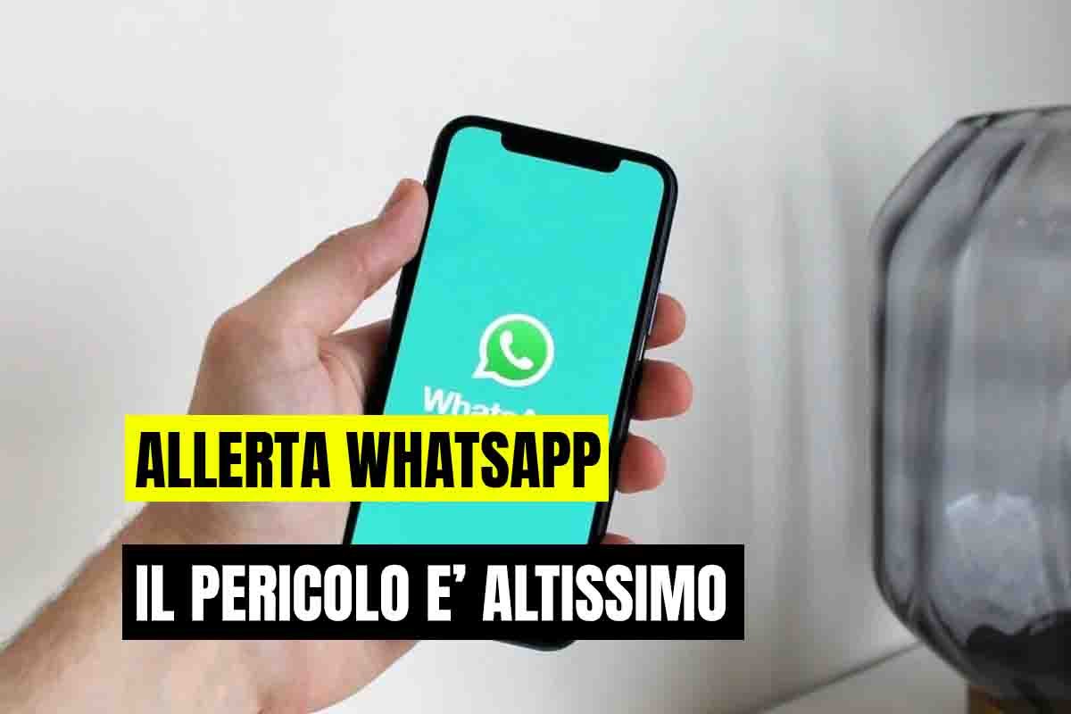 Allerta whatsapp