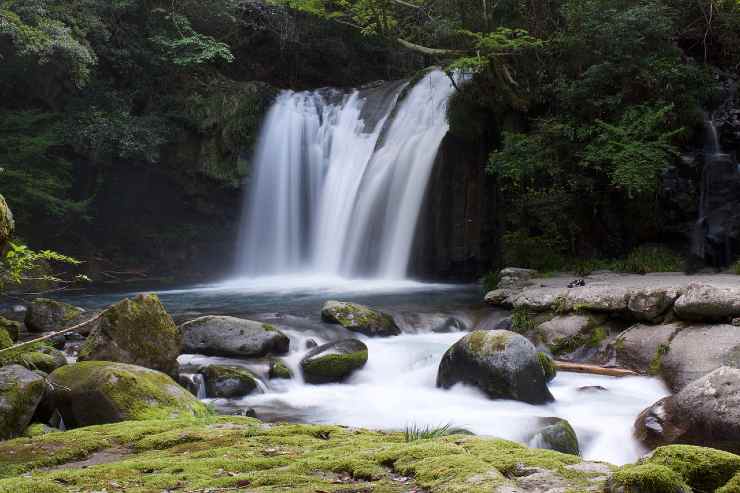 Cascate bosco