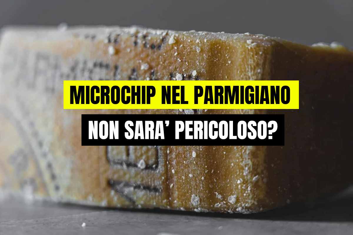 Microchip nel parmigiano 