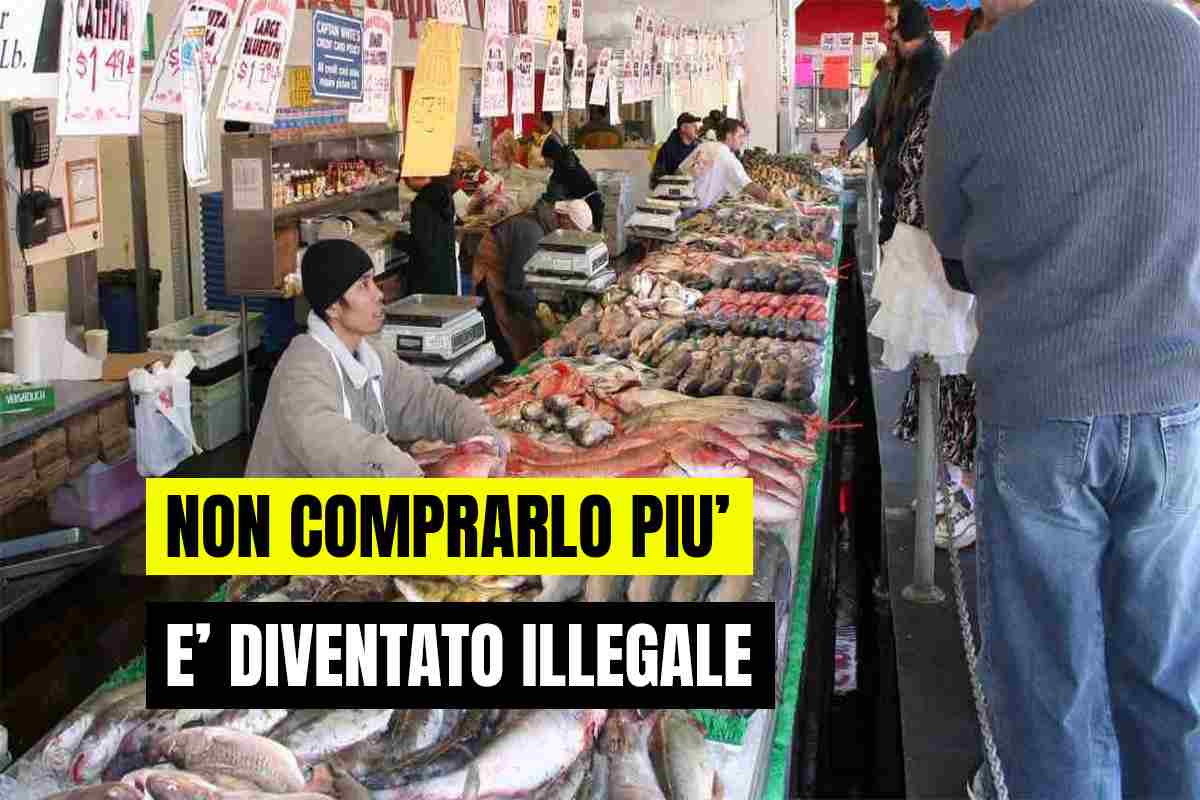 Pesce illegale