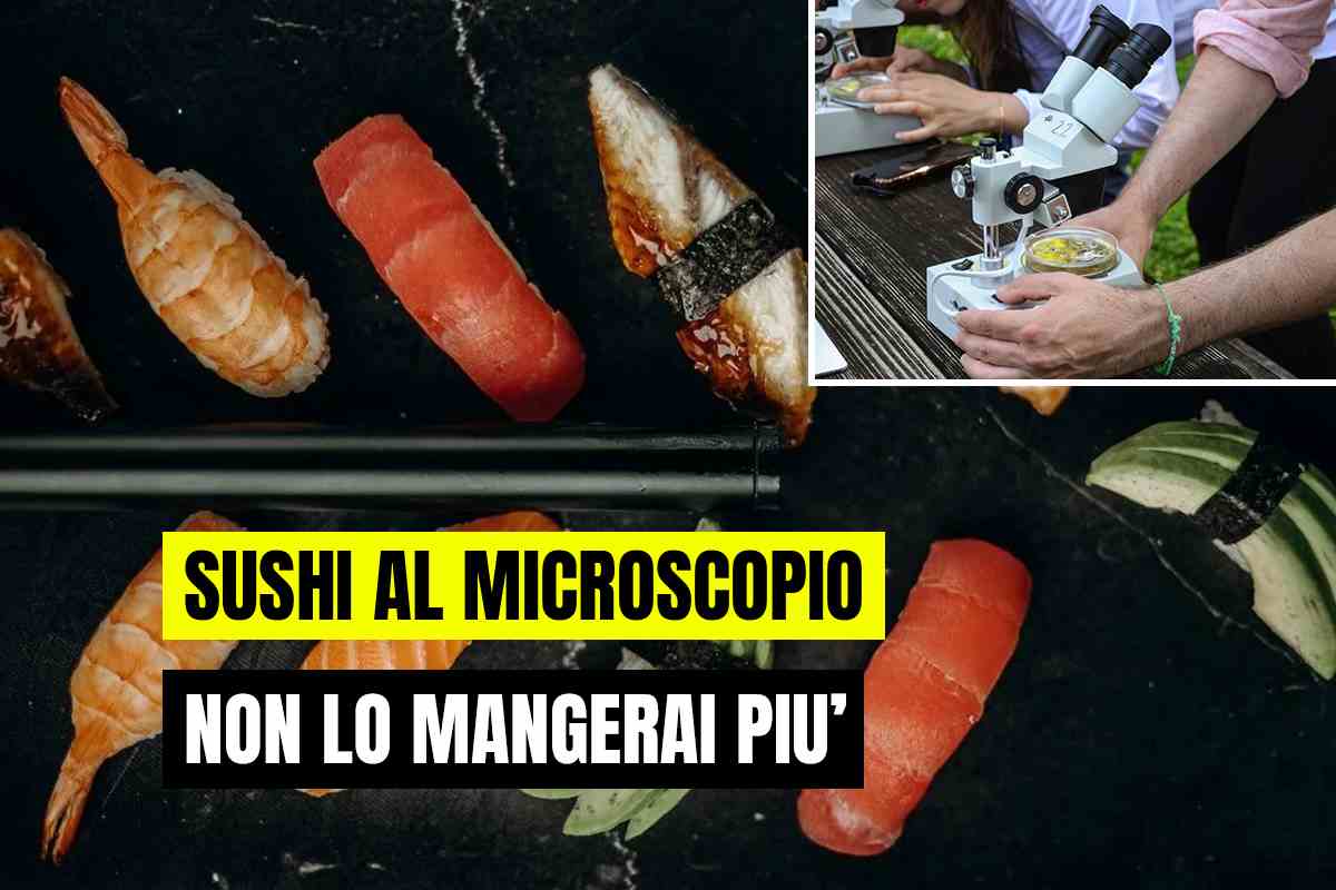 sushi microscopio