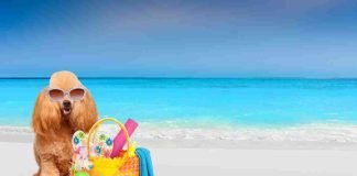 vacanze low cost