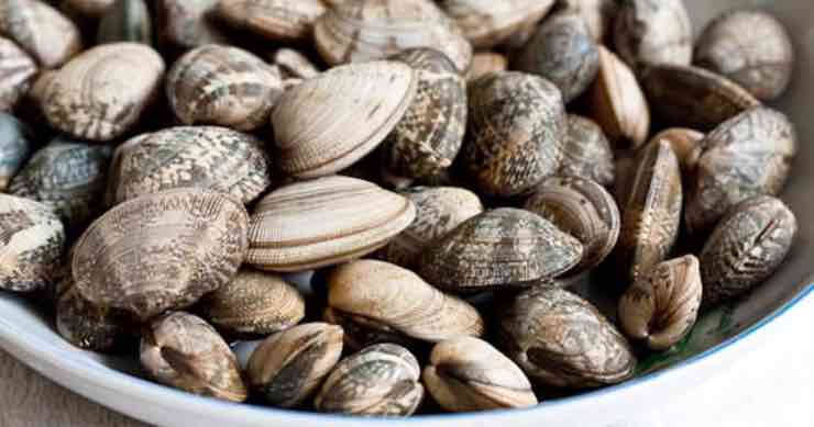 Acquistare le vongole