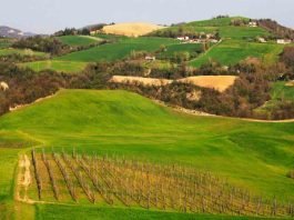 Regione Food Valley italiana