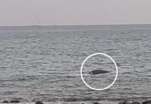 Trovata morta su una spiaggia
