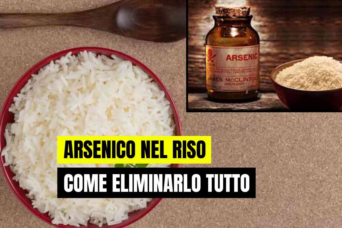 arsenico nel riso