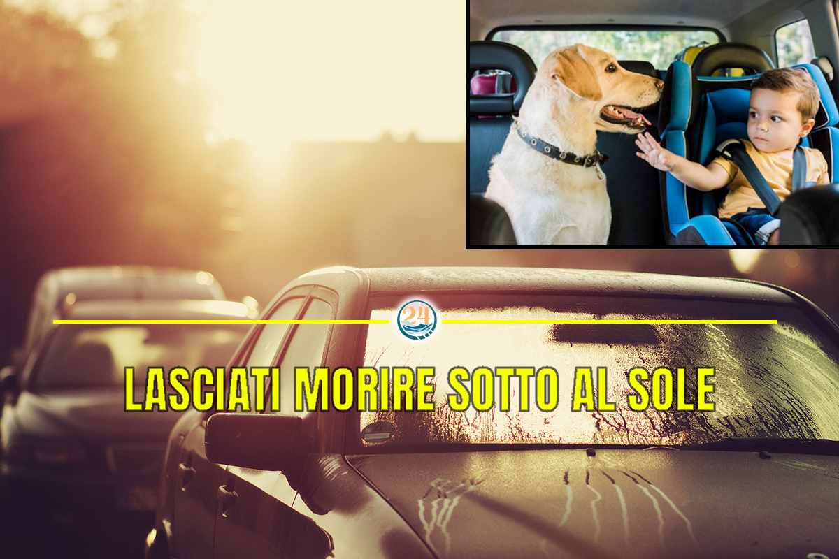 lasciati morire in auto