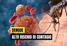 Alto rischio contagio