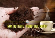 Fondi del caffè