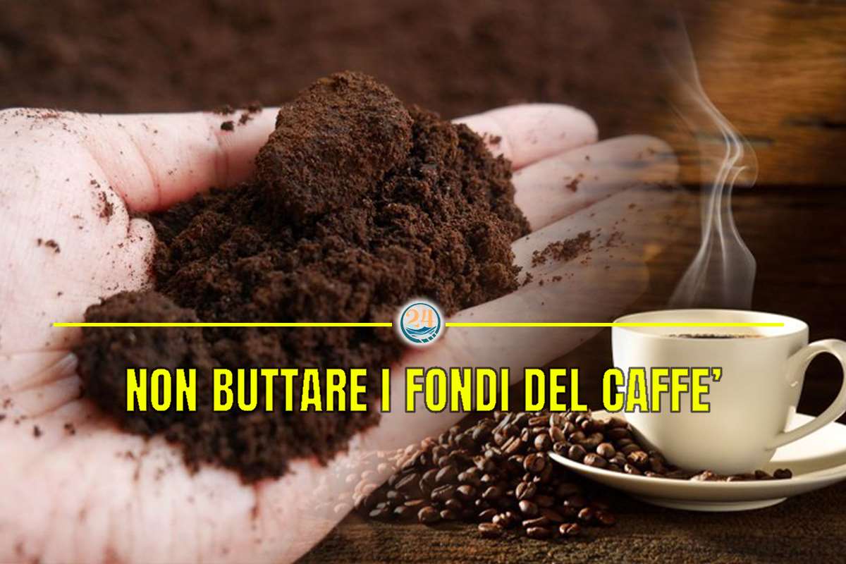 Fondi del caffè