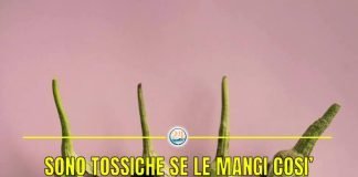 Melanzana tossica