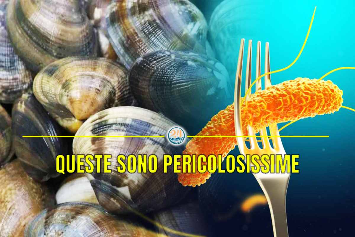 vongole pericolose