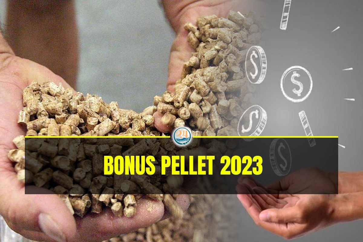 Bonus pellet 2023