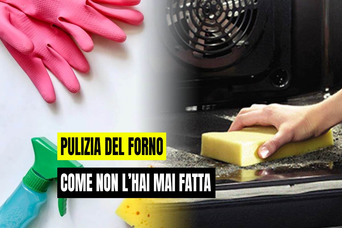 Pulizia forno 