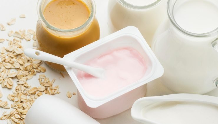 Yogurt proteico