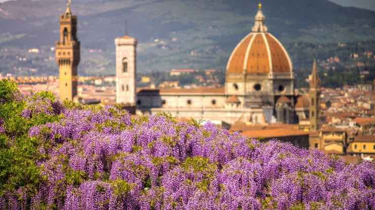 Firenze citta culturale