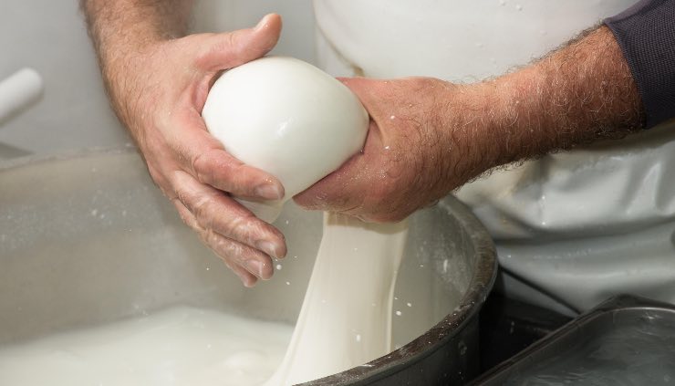 Lavorazione della mozzarella