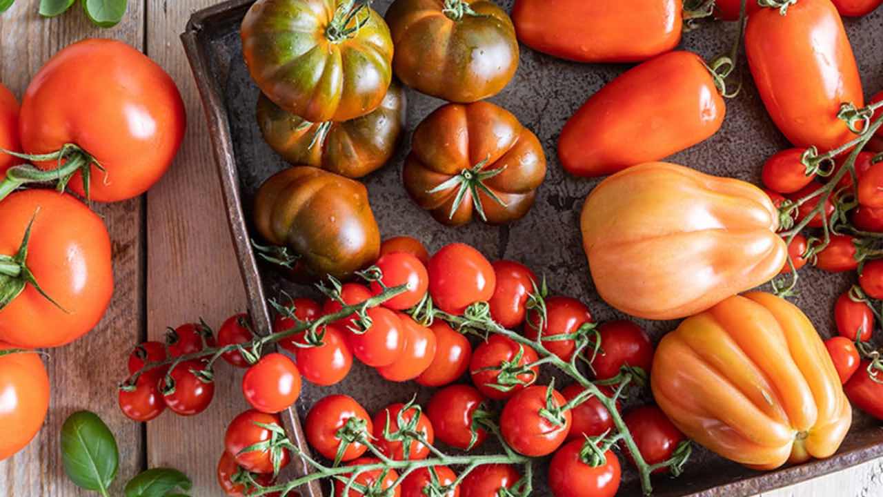 Pomodori a dicembre