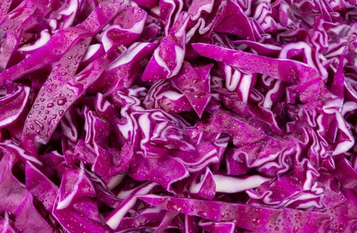 Radicchio rosso