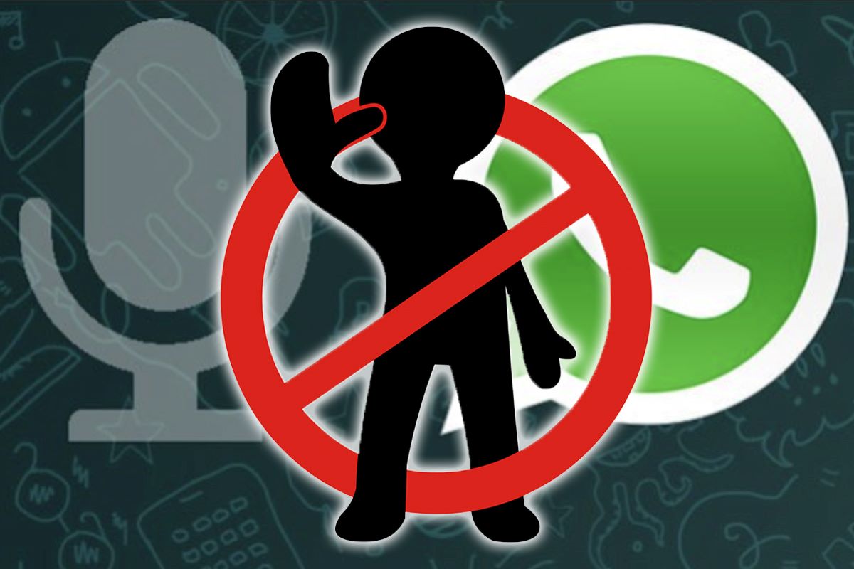 Whatsapp chiamate vocali