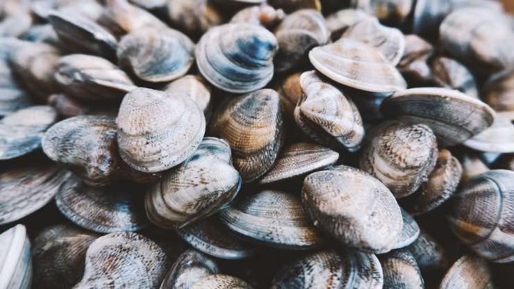 Vongole a Natale