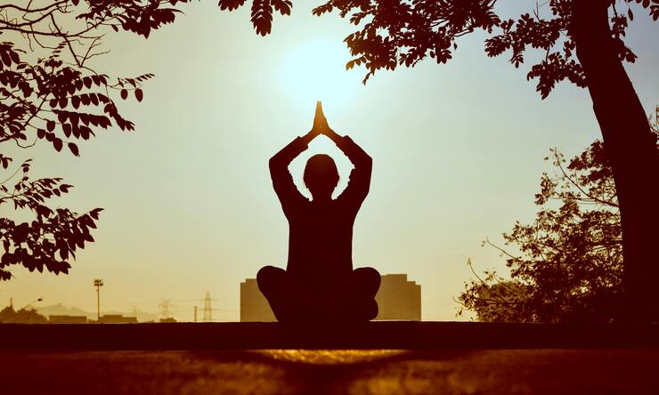 I gesti dello yoga