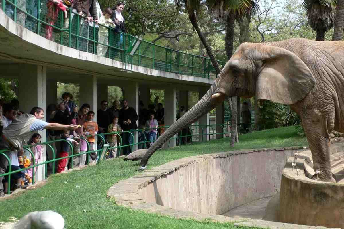 zoo senza animali 