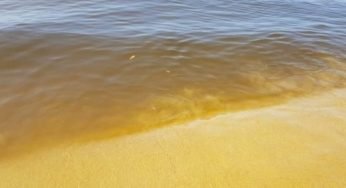 Allarme mare giallo, è pericoloso: cosa sta succedendo sotto le acqua di questa zona