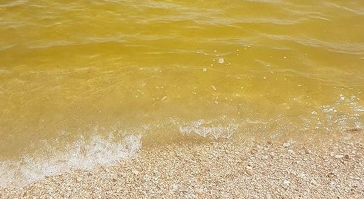 Mare giallo