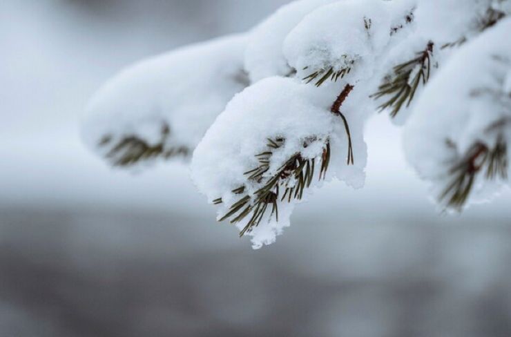 Freddo con neve: meteo di febbraio