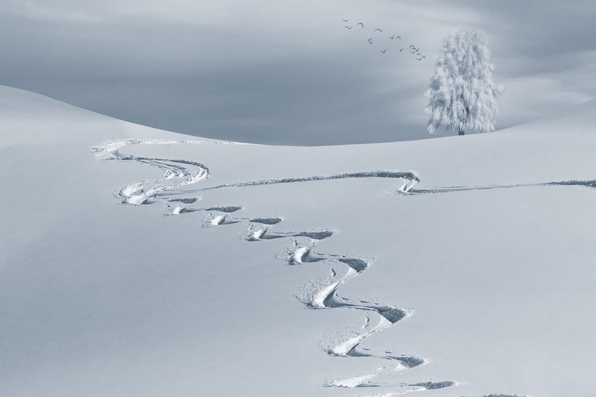 Previsioni meteo freddo